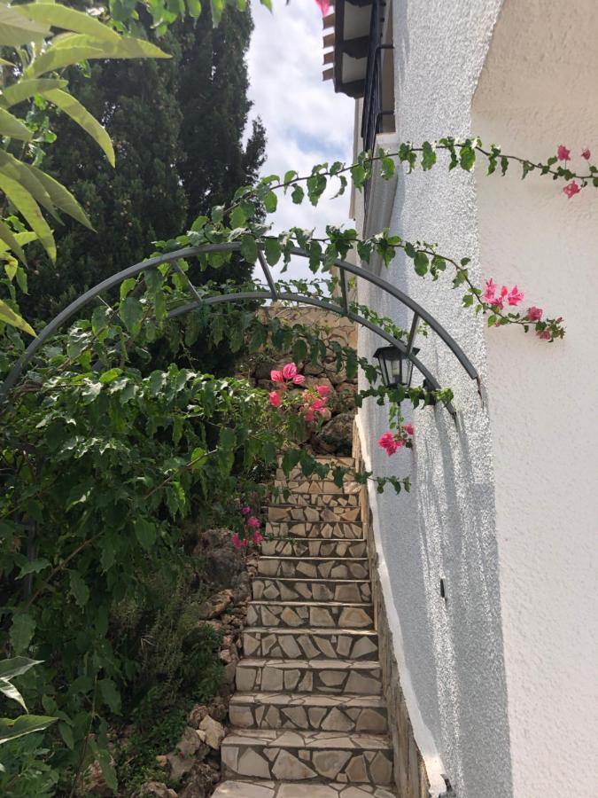 Luz Del Monte