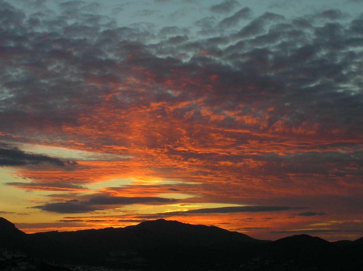 Luz Del Monte